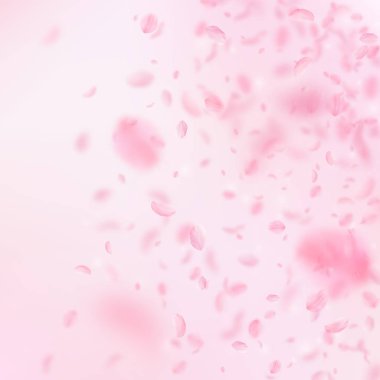 Sakura yaprakları dökülüyor. Romantik pembe çiçekler 