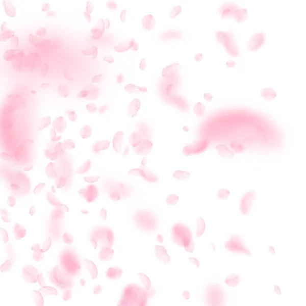 Σακούρα πέταλα πέφτουν κάτω. Ρομαντικά ροζ λουλούδια — Διανυσματικό Αρχείο