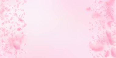 Sakura yaprakları dökülüyor. Romantik pembe çiçekler 
