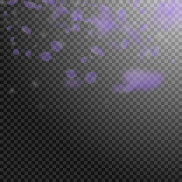 紫罗兰花瓣飘落。创意溶血剂 — 图库矢量图片