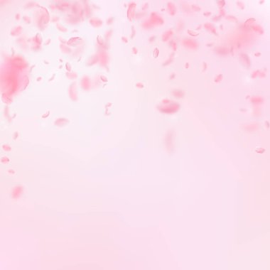 Sakura yaprakları dökülüyor. Romantik pembe çiçekler 