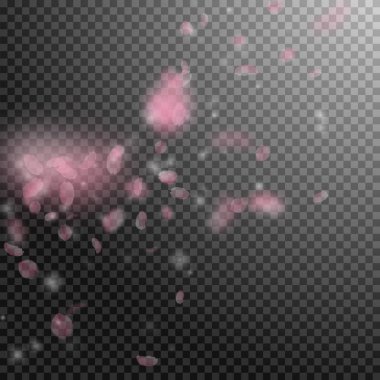 Sakura yaprakları dökülüyor. Romantik pembe çiçekler 