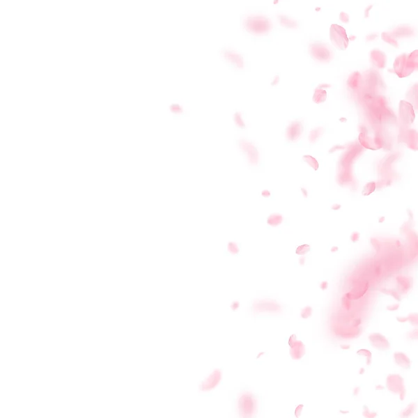 樱花花瓣飘落。浪漫的粉色花朵 — 图库矢量图片