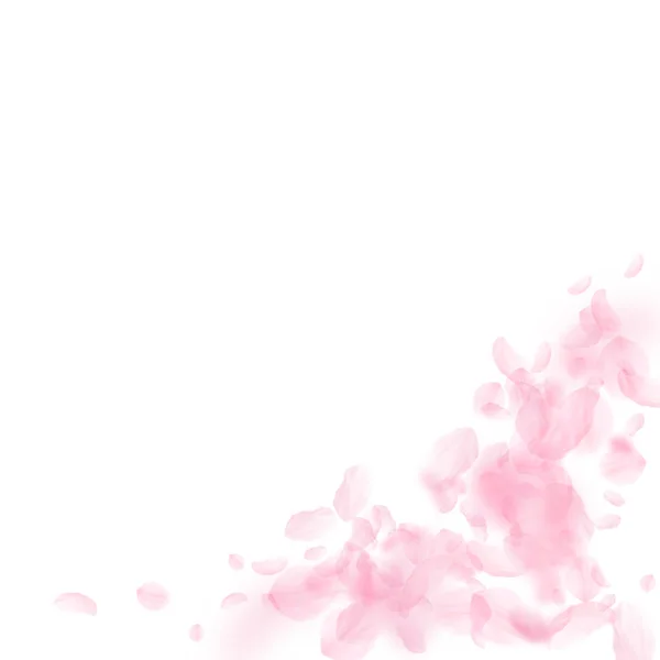 Sakura yaprakları dökülüyor. Romantik pembe çiçekler — Stok Vektör