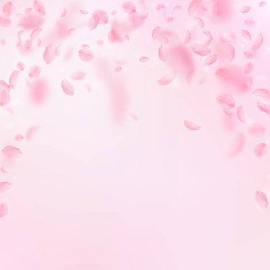 Sakura yaprakları dökülüyor. Romantik pembe çiçekler 