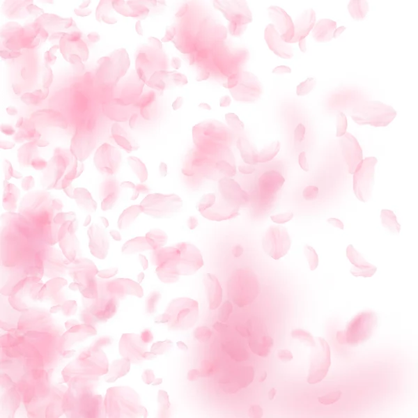 Sakura petals falling down. Romantic pink flowers