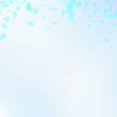 Turkuaz çiçek yaprakları aşağı düşen. Dramatik rom