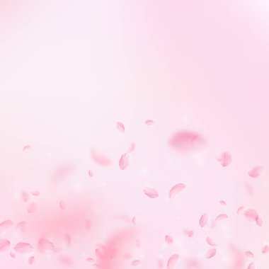 Sakura yaprakları dökülüyor. Romantik pembe çiçekler 