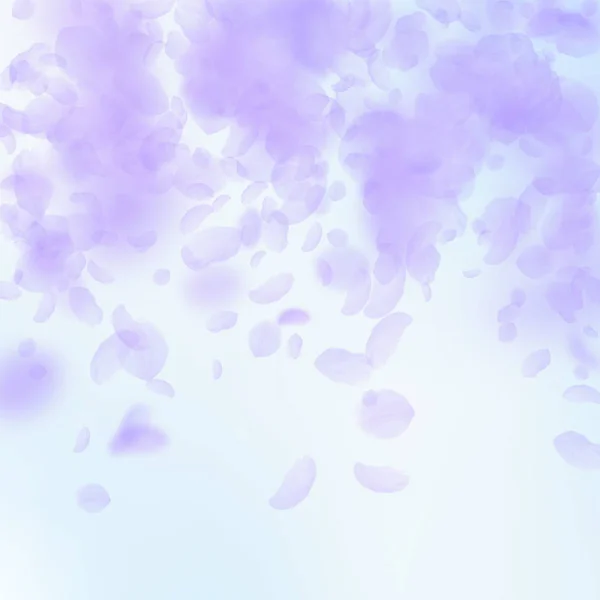紫色の花の花びらが落ちて。古典的な romanti — ストックベクタ