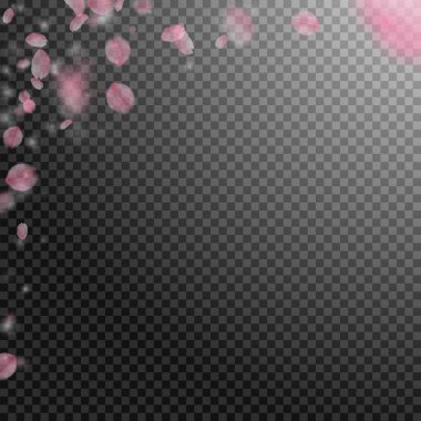 Sakura yaprakları dökülüyor. Romantik pembe çiçekler 