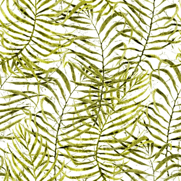 Tropická vzor bezešvé. Akvarelu zamotaný palm — Stock fotografie