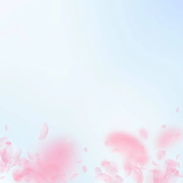 Sakura petals falling down. Romantic pink flowers — Stock Vector