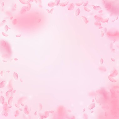 Sakura yaprakları dökülüyor. Romantik pembe çiçekler 