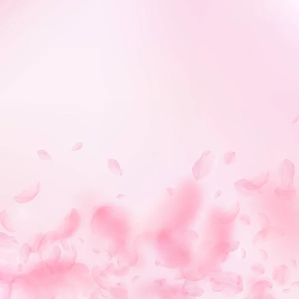 Pétalos Sakura cayendo. Flores rosas románticas — Vector de stock