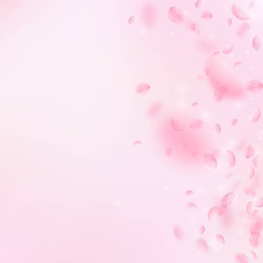 Sakura yaprakları dökülüyor. Romantik pembe çiçekler 