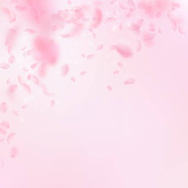 Sakura yaprakları dökülüyor. Romantik pembe çiçekler 