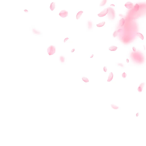 Pétalas Sakura a cair. Flores rosa românticas —  Vetores de Stock