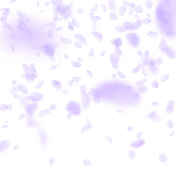 紫罗兰花瓣飘落。迷人的润肤剂 — 图库矢量图片