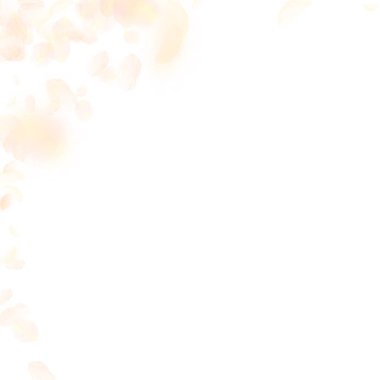 Aşağı düşen sarı turuncu çiçek yaprakları. Zihin-blo