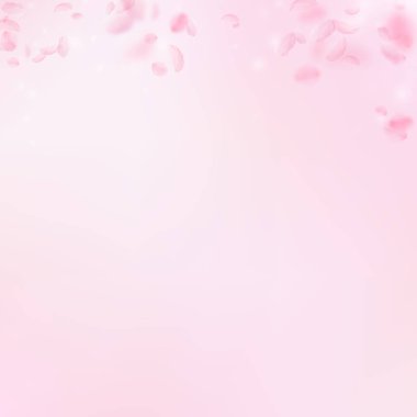 Sakura yaprakları dökülüyor. Romantik pembe çiçekler 