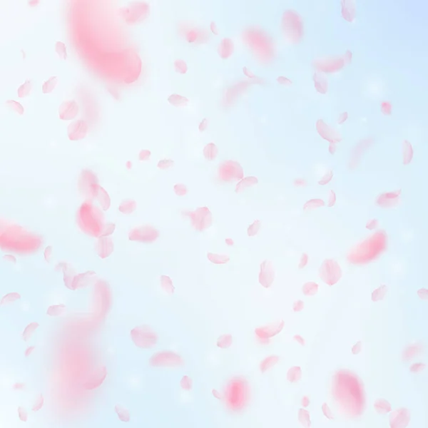 Sakura petals falling down. Romantic pink flowers