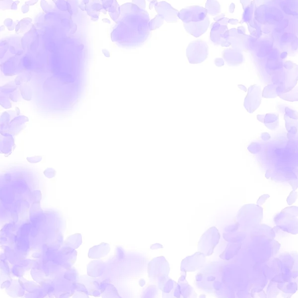 Des pétales de fleurs violettes tombent. Ravissante romaine — Image vectorielle