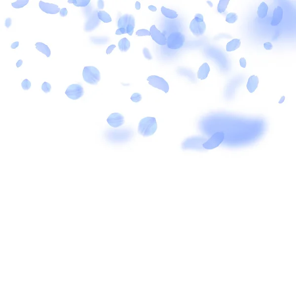 Pétales de fleurs bleu foncé tombant. Belle ro — Image vectorielle