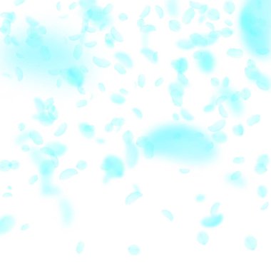 Turkuaz çiçek yaprakları dökülüyor. Takdire şayan.