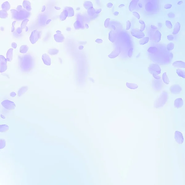 Лепестки фиолетовых цветов падают. Апелляционный римлянин — стоковый вектор