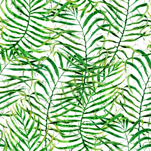 Tropical seamless pattern. Watercolor tangled palm