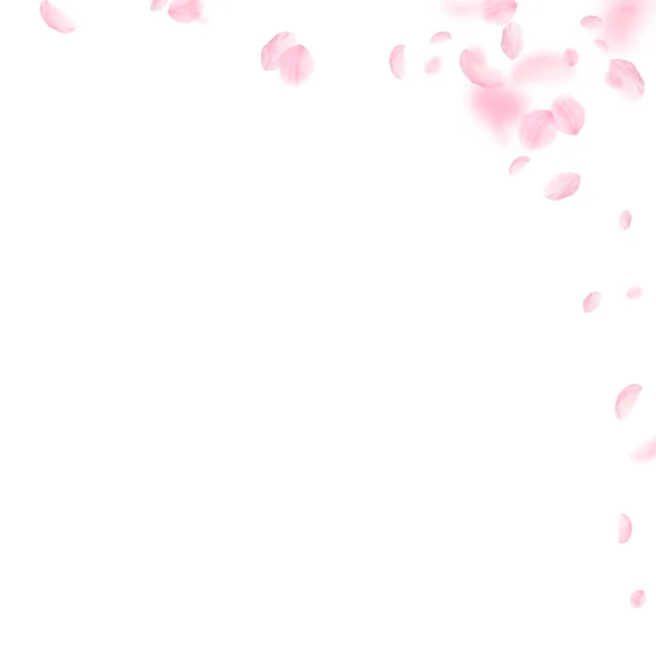 Pétalos Sakura cayendo. Flores rosas románticas — Vector de stock