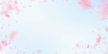 Sakura yaprakları dökülüyor. Romantik pembe çiçekler 