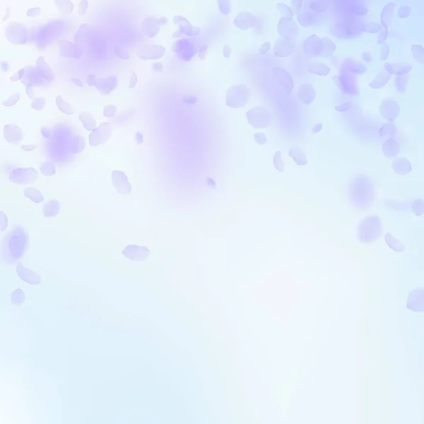 紫罗兰花瓣飘落。珍贵的润肤剂 — 图库矢量图片