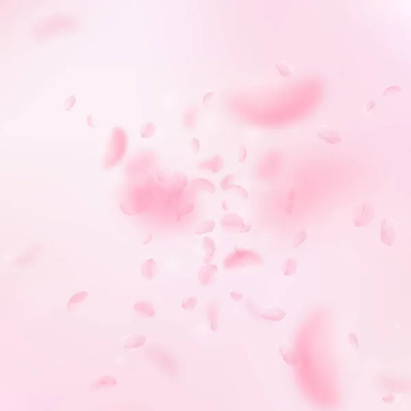 Sakura kronblad faller ner. Romantiska rosa blommor — Stock vektor