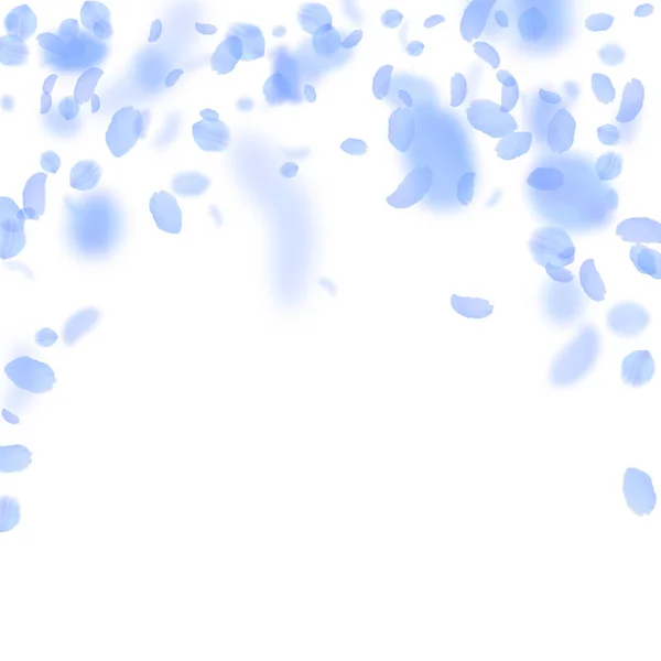 Pétales de fleurs bleu foncé tombant. Merveilleux ro — Image vectorielle