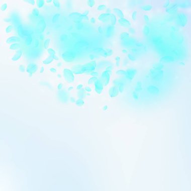 Turkuaz çiçek yaprakları dökülüyor. Pozitif rom