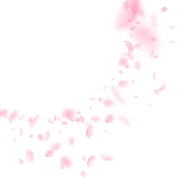 Des pétales de Sakura tombent. Fleurs roses romantiques — Image vectorielle