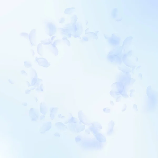 Light blue flower petals falling down. Excellent r — Stock Vector