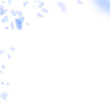 Koyu mavi çiçek yaprakları dökülüyor. Yakışıklıymış.