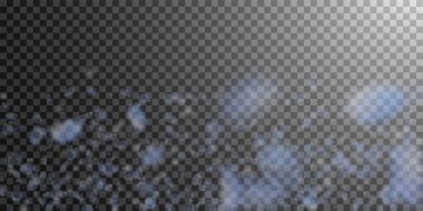 Aşağı düşen ışık mavi çiçek yaprakları. Canlı roma