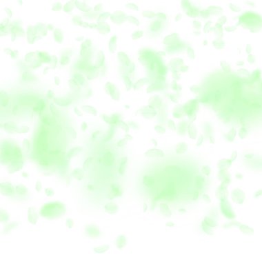 Yeşil çiçek yaprakları aşağı düşen. Mükemmel romant