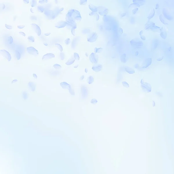 Pétalos de flor azul claro cayendo. Increíble rom — Vector de stock