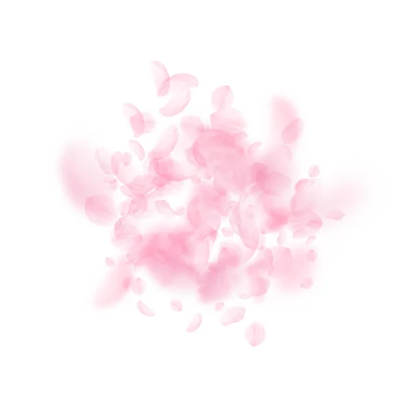 Padají okvětní lístky Sakury. Romantické růžové květy — Stockový vektor