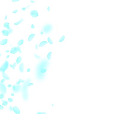 Turkuaz çiçek yaprakları dökülüyor. Harika.