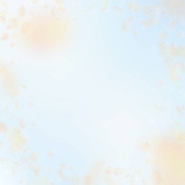 Aşağı düşen sarı turuncu çiçek yaprakları. Notewort