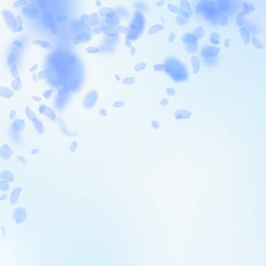 Koyu mavi çiçek yaprakları dökülüyor. Büyüleyici Ro