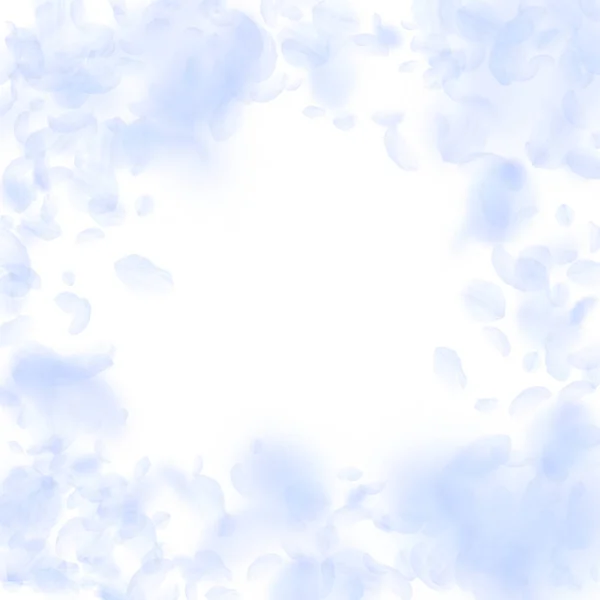 Világos kék virág szirmai zuhan. Vonzó — Stock Vector