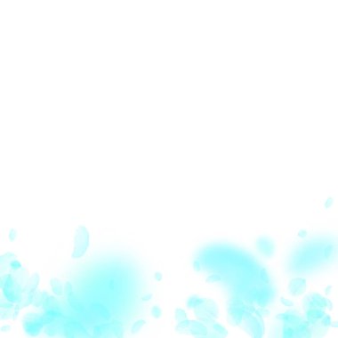 Turkuaz çiçek yaprakları dökülüyor. Popüler Roma