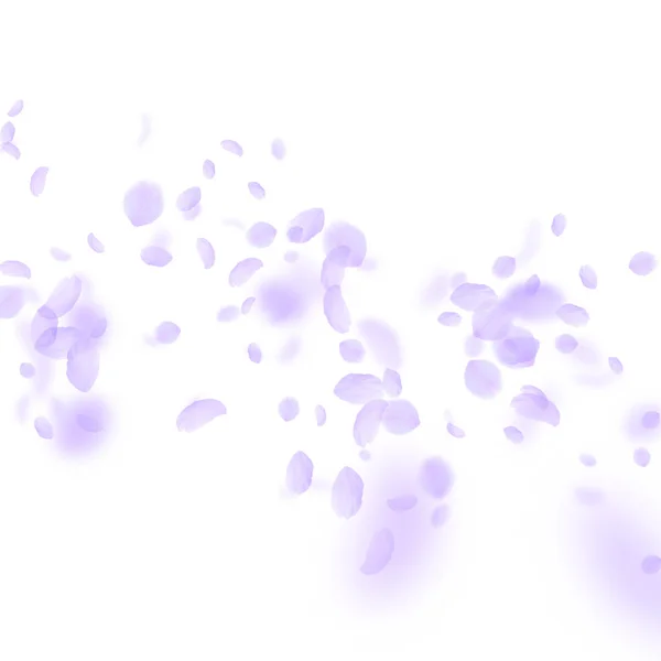Pétalos de flores violetas cayendo. Gran romántico — Vector de stock