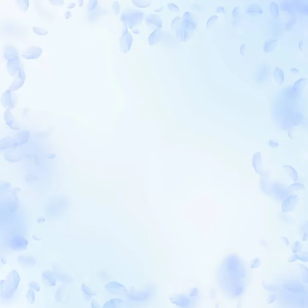 Light blue flower petals falling down. Gorgeous ro — Stock Vector